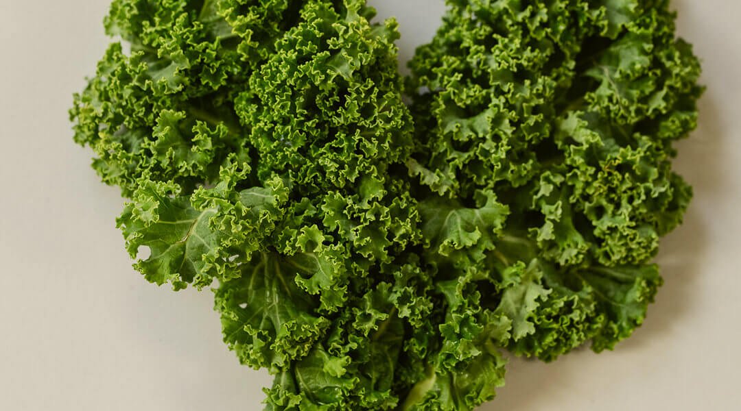 nutritionist-13b