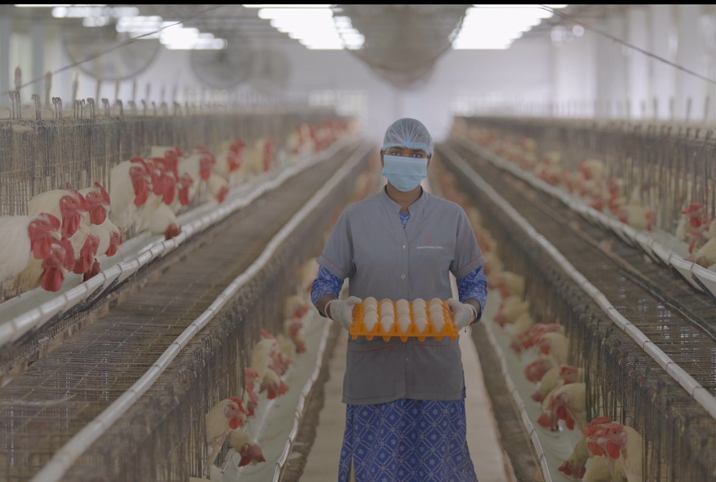 Breeding – Kasturi Poultry Farm